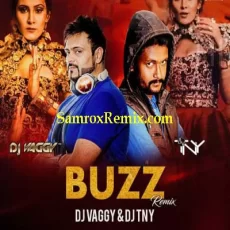 Buzz (Remix) - Dj TNY X Dj Vaggy Buzz (Remix) - Dj TNY X Dj Vaggy